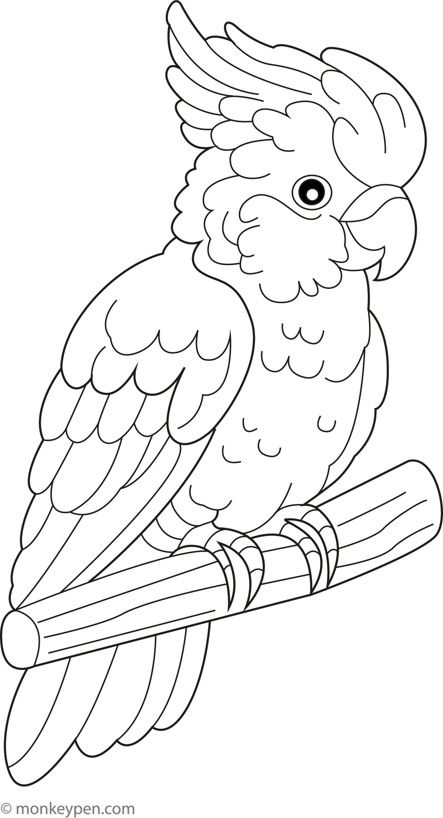 Cockatoos Coloring Page – Free Printable PDF for Kids