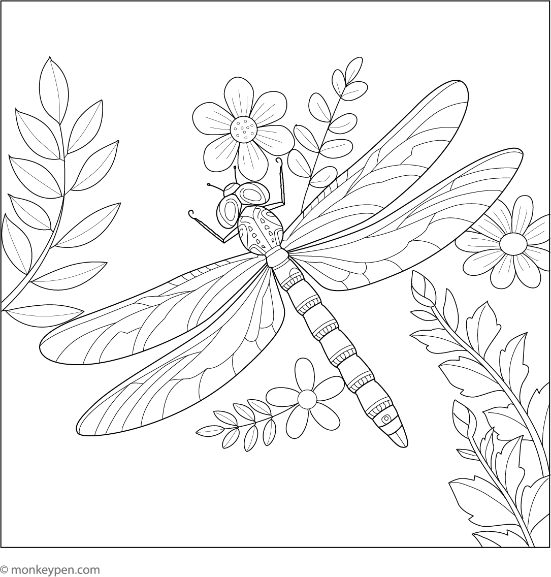 Free Printable Dragonfly Coloring Page For Kids free-printable-dragonfly-coloring-page-for-kids