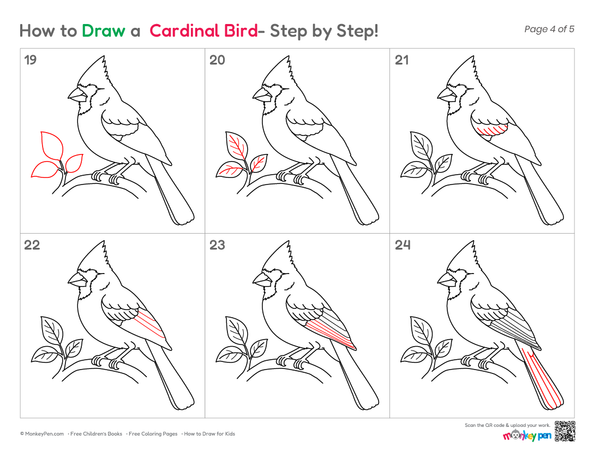 Cute Cardinal bird drawing for children