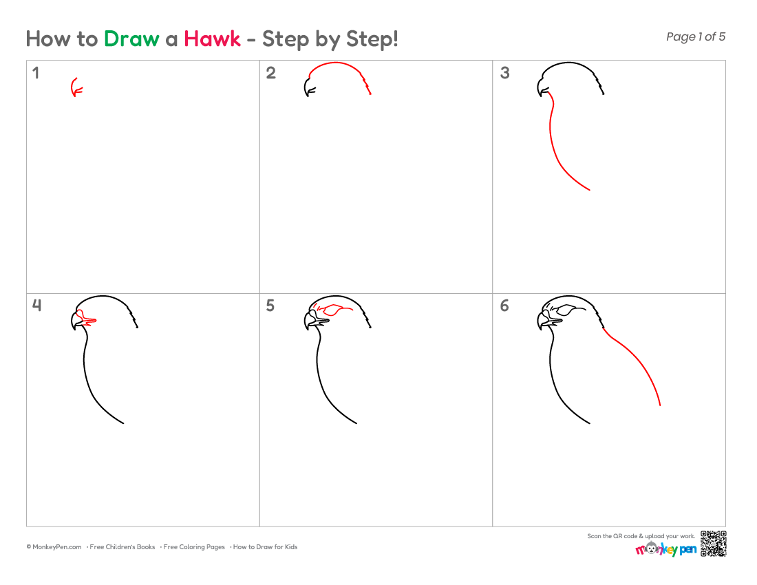How to Draw a Hawk – Simple Step-by-Step Bird Drawing for Kids