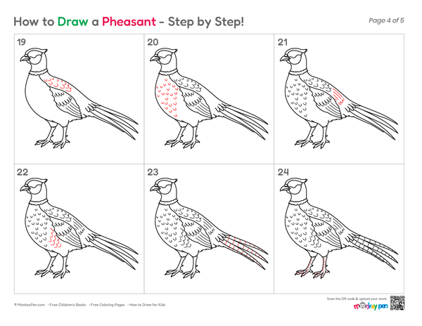 Easy Pheasant illustration for children