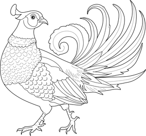 Pheasant Coloring Page – fun and educational printable for children