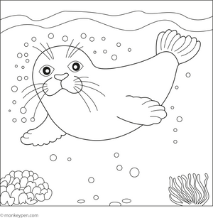 Seal Swimming Underwater coloring page – free printable for kids to color and enjoy