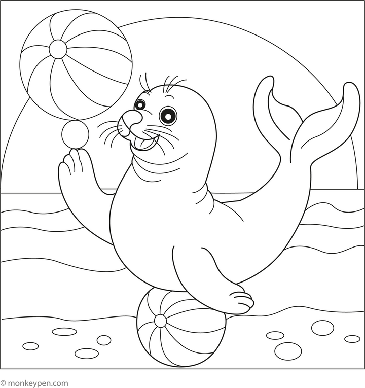 Free Seal Coloring Pages – Printable Ocean Fun for Kids