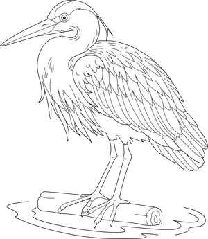  Heron coloring page – fun and educational printable for children