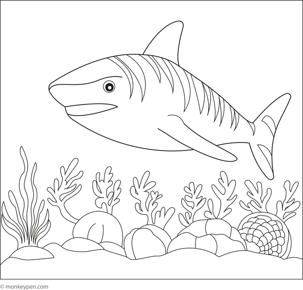 Tiger Shark coloring page – free printable for kids to color and enjoy