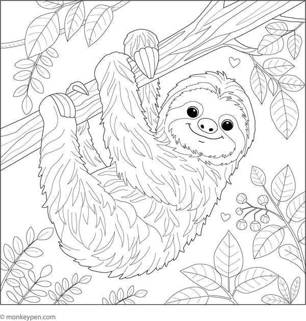 Sloth Coloring Book