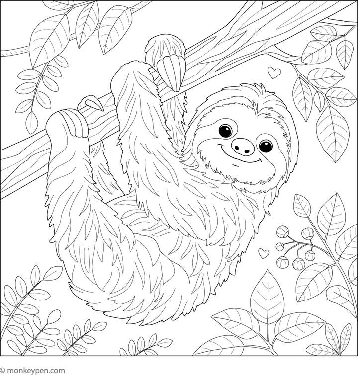Sloth Hanging from a Tree - Free Printable Coloring Page PDF