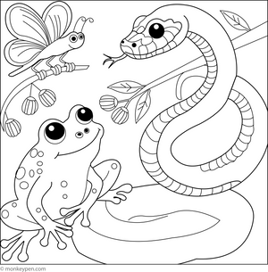 Snake and Frog coloring page – free printable for kids to color and enjoy