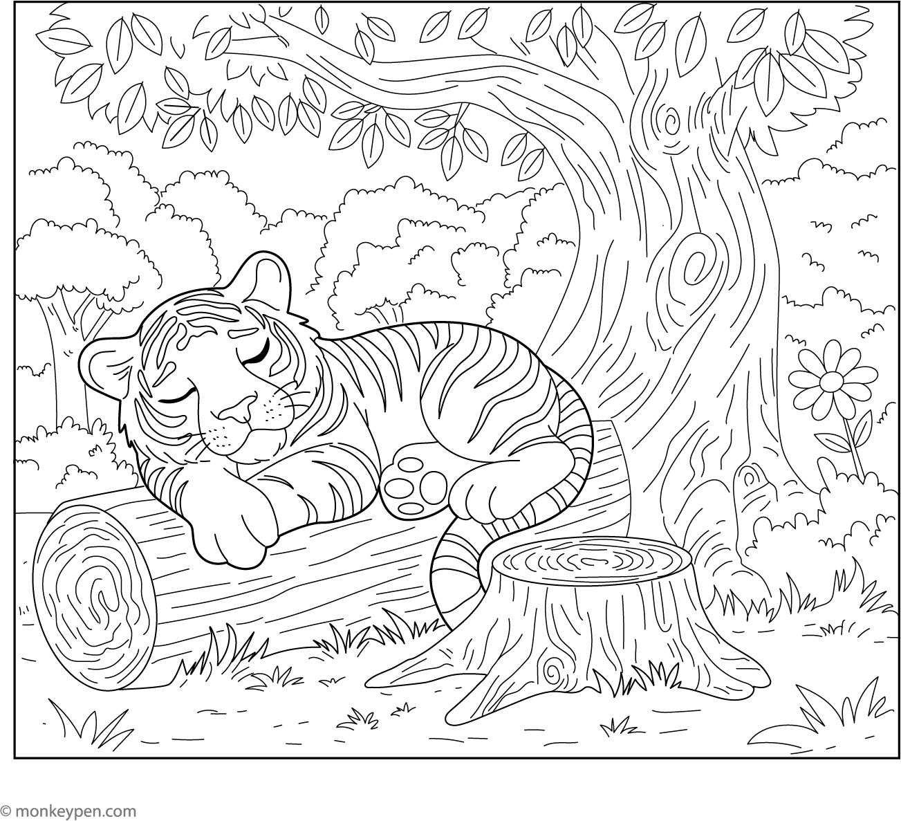 Sleeping Tiger Sleeping tiger