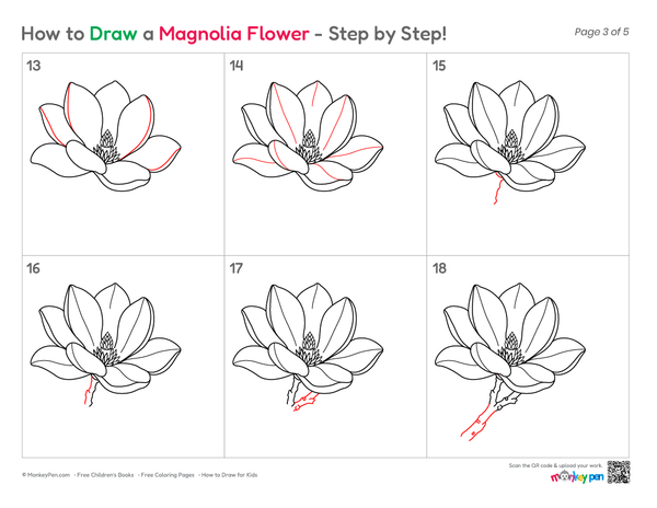 Magnolia flower line art for kids