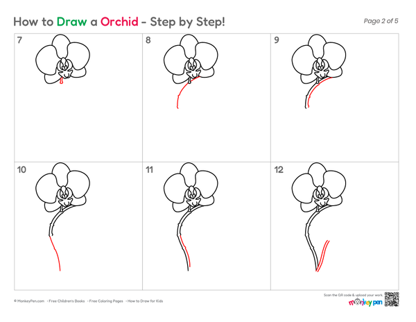 How to Draw an Orchid – Easy Step-by-Step Flower Drawing for Kids
