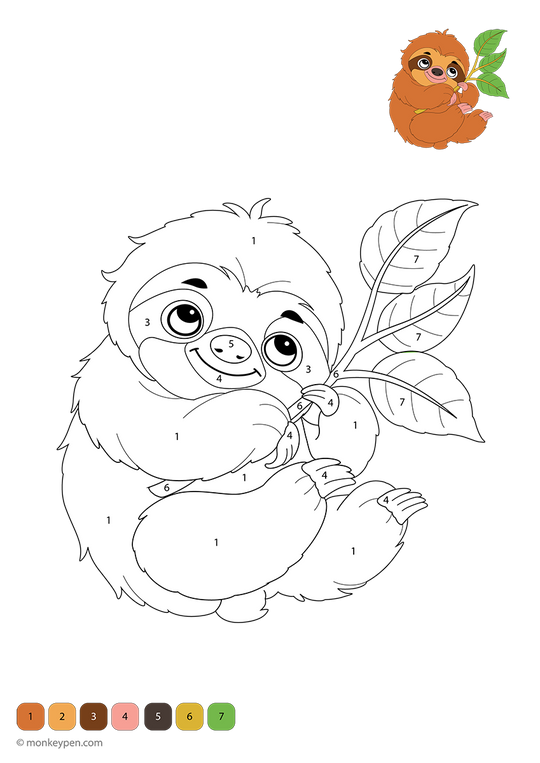 Sloth Color by Number – Free Printable Coloring Pages