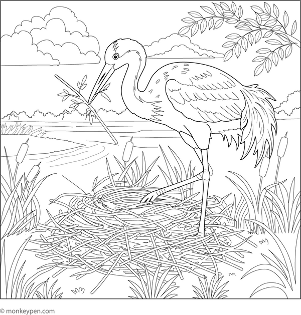 Crane Building a Nest coloring page – free printable for kids to color and enjoy