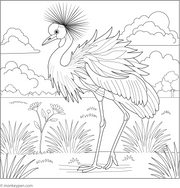 Printable Crane Coloring Book Free Download