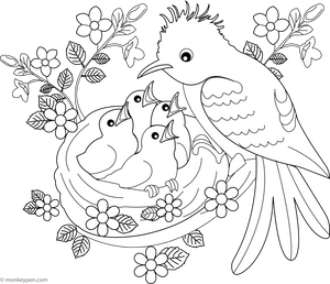 Cuckoo with Baby Birds coloring page – free printable for kids to color and enjoy
