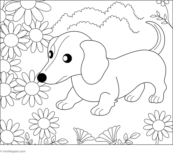 Dachshund in a Flower Garden coloring page – free printable for kids to color and enjoy