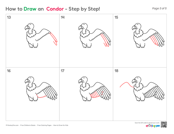 Condor bird drawing for children