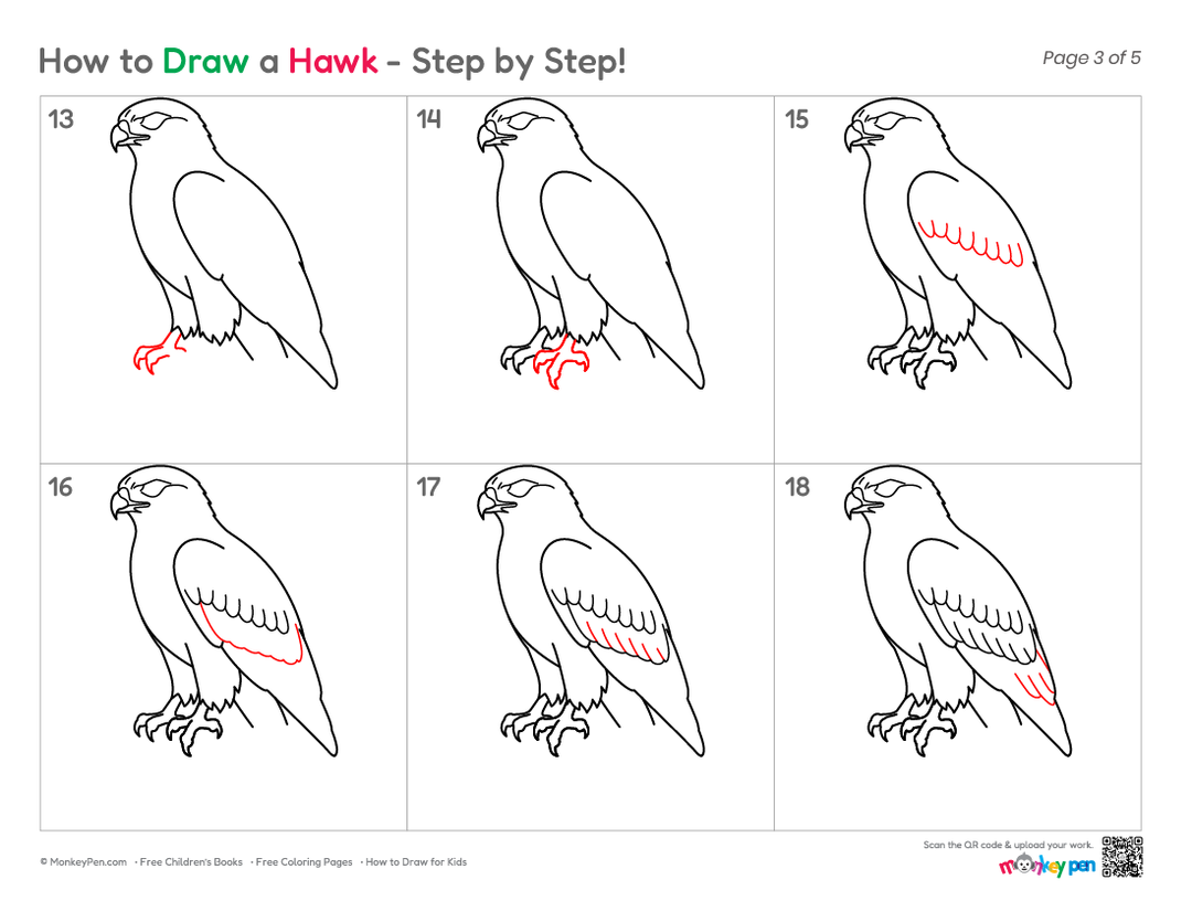 How to Draw a Hawk – Simple Step-by-Step Bird Drawing for Kids