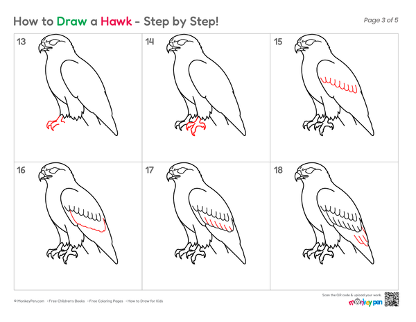 How to Draw a Hawk – Simple Step-by-Step Bird Drawing for Kids