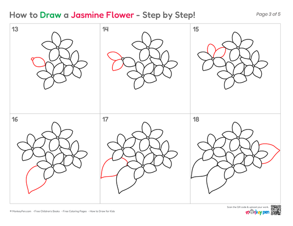 How to Draw a Jasmine Flower – Simple Step-by-Step Flower Drawing for Kids