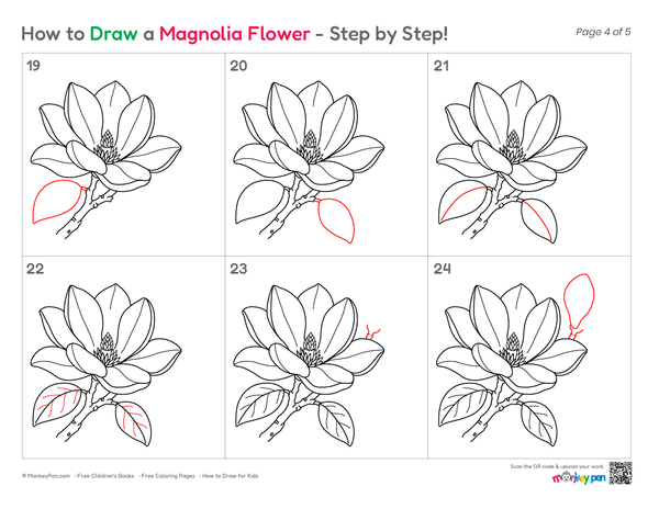 Easy magnolia flower illustration for kids