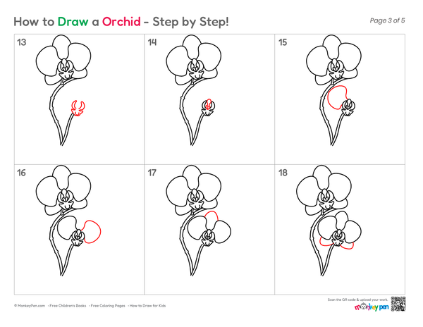 How to Draw an Orchid – Easy Step-by-Step Flower Drawing for Kids
