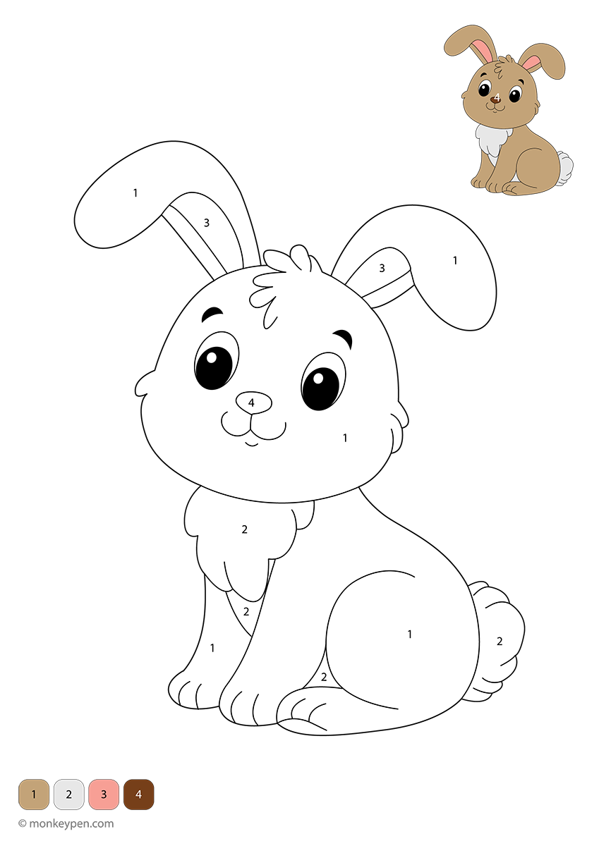 Grade R Colour By Number Rabbit Cute Rabbit Color by Number for Kids