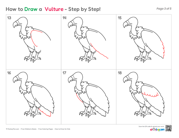 Simple vulture bird sketch for beginners