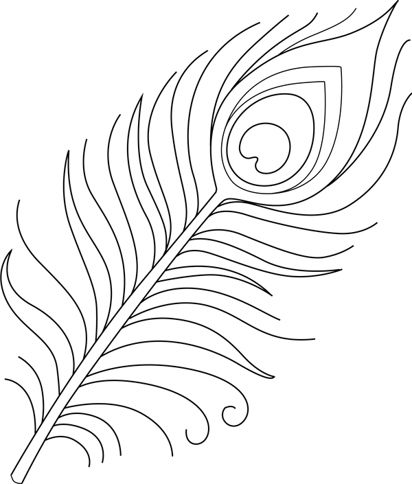  Peacock feather coloring page – fun and educational printable for children