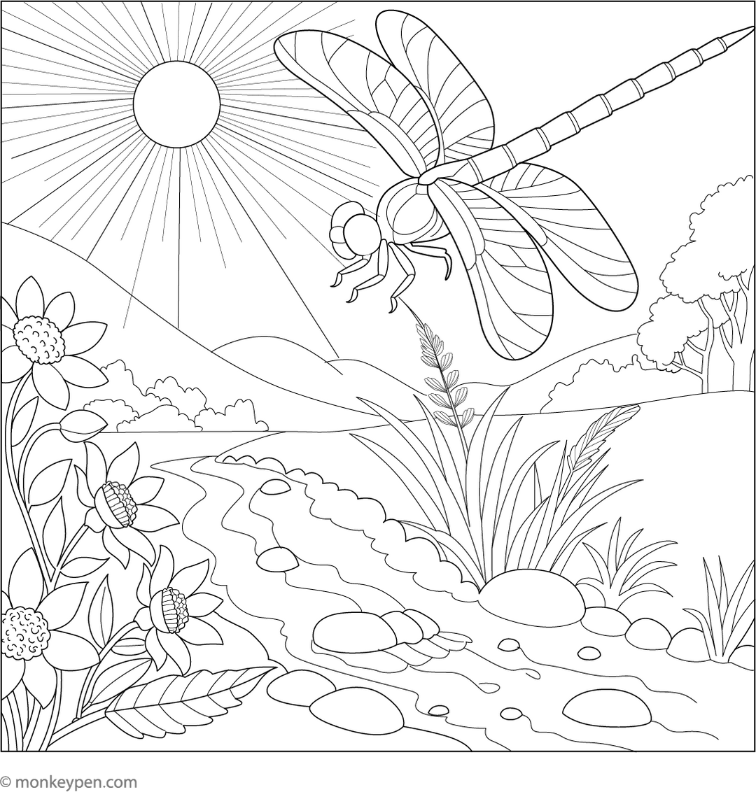 Dragonfly Coloring Book | Free Printable Pages for Kids