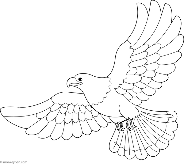 Majestic Eagle in Flight coloring page – free printable for kids to color and enjoy