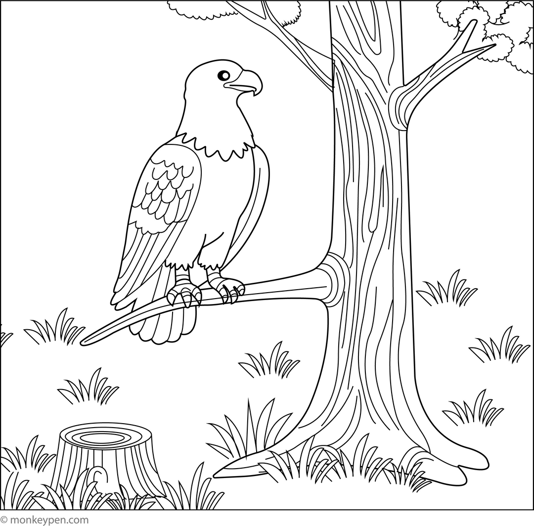 Free Eagle Coloring Pages – Printable Sheets for Kids