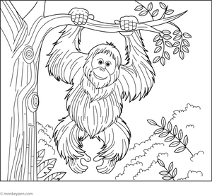 Bornean Orangutan colouring Page coloring page – free printable for kids to color and enjoy