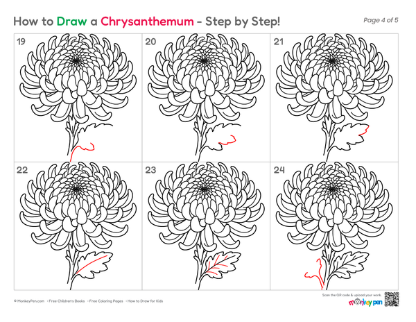 How to Draw a Chrysanthemum – Easy Step-by-Step Flower Drawing for Kids
