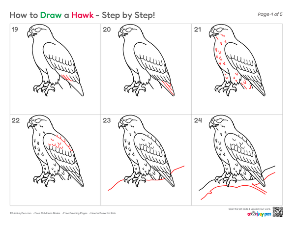 How to Draw a Hawk – Simple Step-by-Step Bird Drawing for Kids
