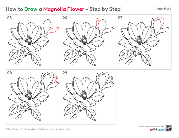 Simple magnolia blossom drawing for children