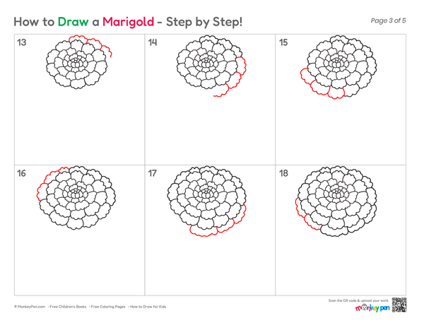 How to Draw a Marigold – Simple Step-by-Step Flower Drawing for Kids
