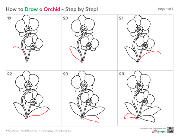 How to Draw an Orchid – Easy Step-by-Step Flower Drawing for Kids