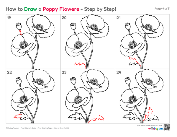 How to Draw a Poppy Flower – Step-by-Step Flower Drawing for Kids