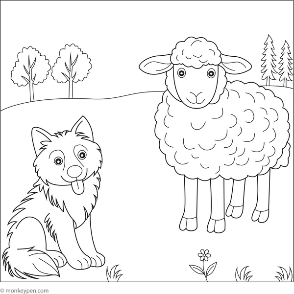 Sheep and a Shepherd Dog coloring page – free printable for kids to color and enjoy