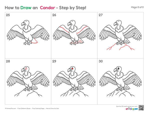 Easy Condor drawing for kids