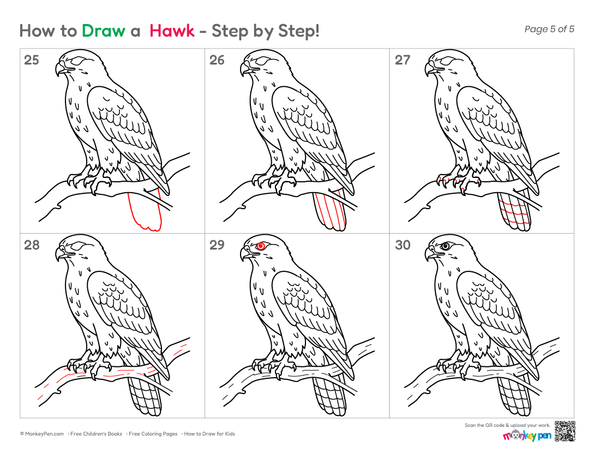 How to Draw a Hawk – Simple Step-by-Step Bird Drawing for Kids