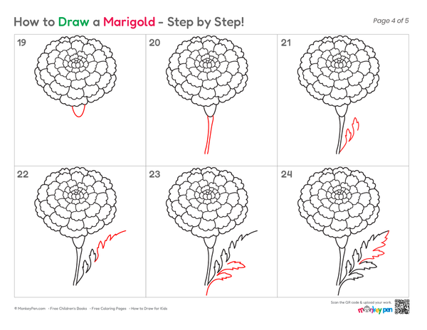 How to Draw a Marigold – Simple Step-by-Step Flower Drawing for Kids