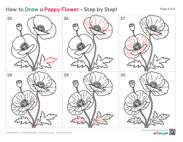 How to Draw a Poppy Flower – Step-by-Step Flower Drawing for Kids