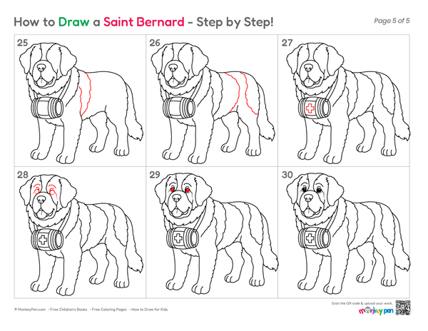 Cute Saint Bernard drawing for kids