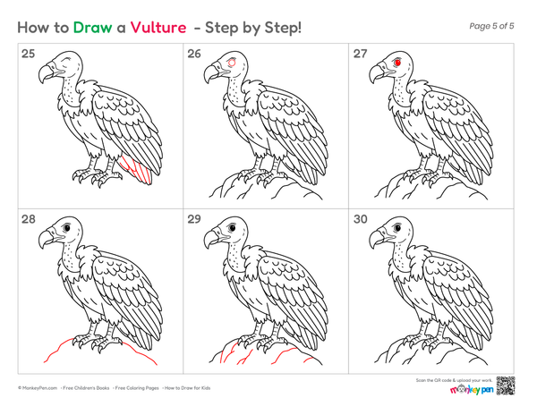Easy vulture drawing for kids