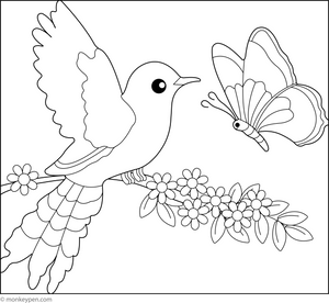 Cuckoo and Butterfly Colouring Image for Kids