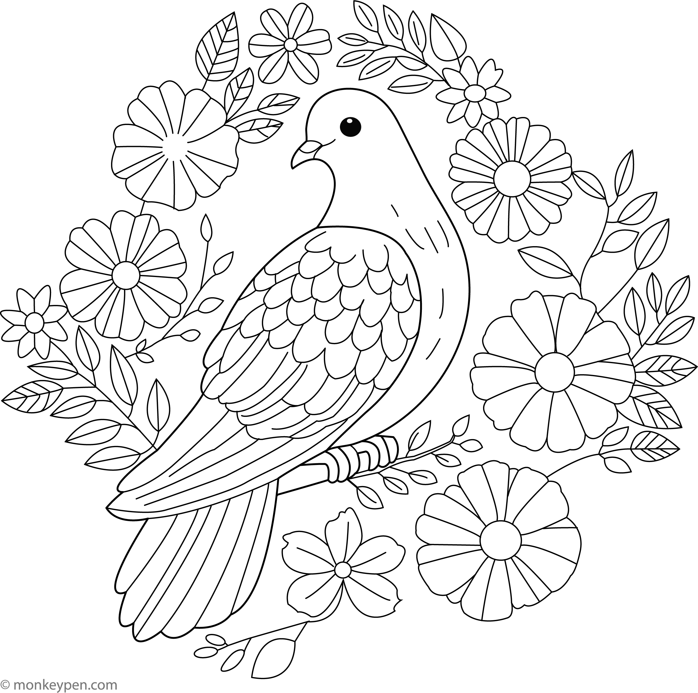 Dove Coloring Sheet 2025 Dove Coloring Sheet 2025