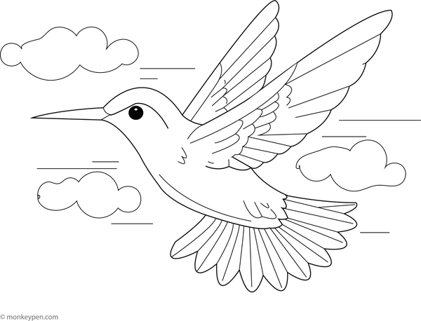 Hummingbird in Flight | Free Coloring Pages